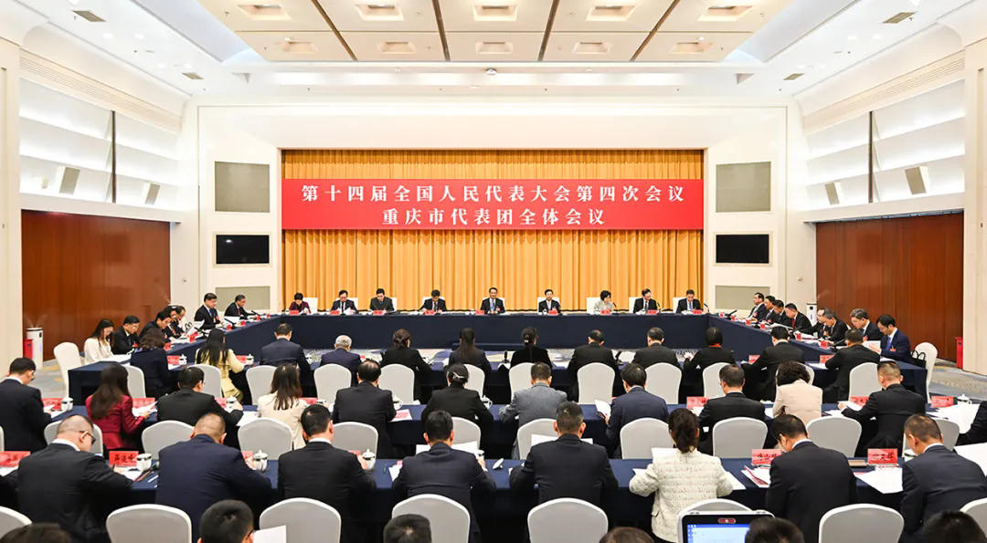 重庆代表团举行全体会议 袁家军胡衡华王炯张轩出席